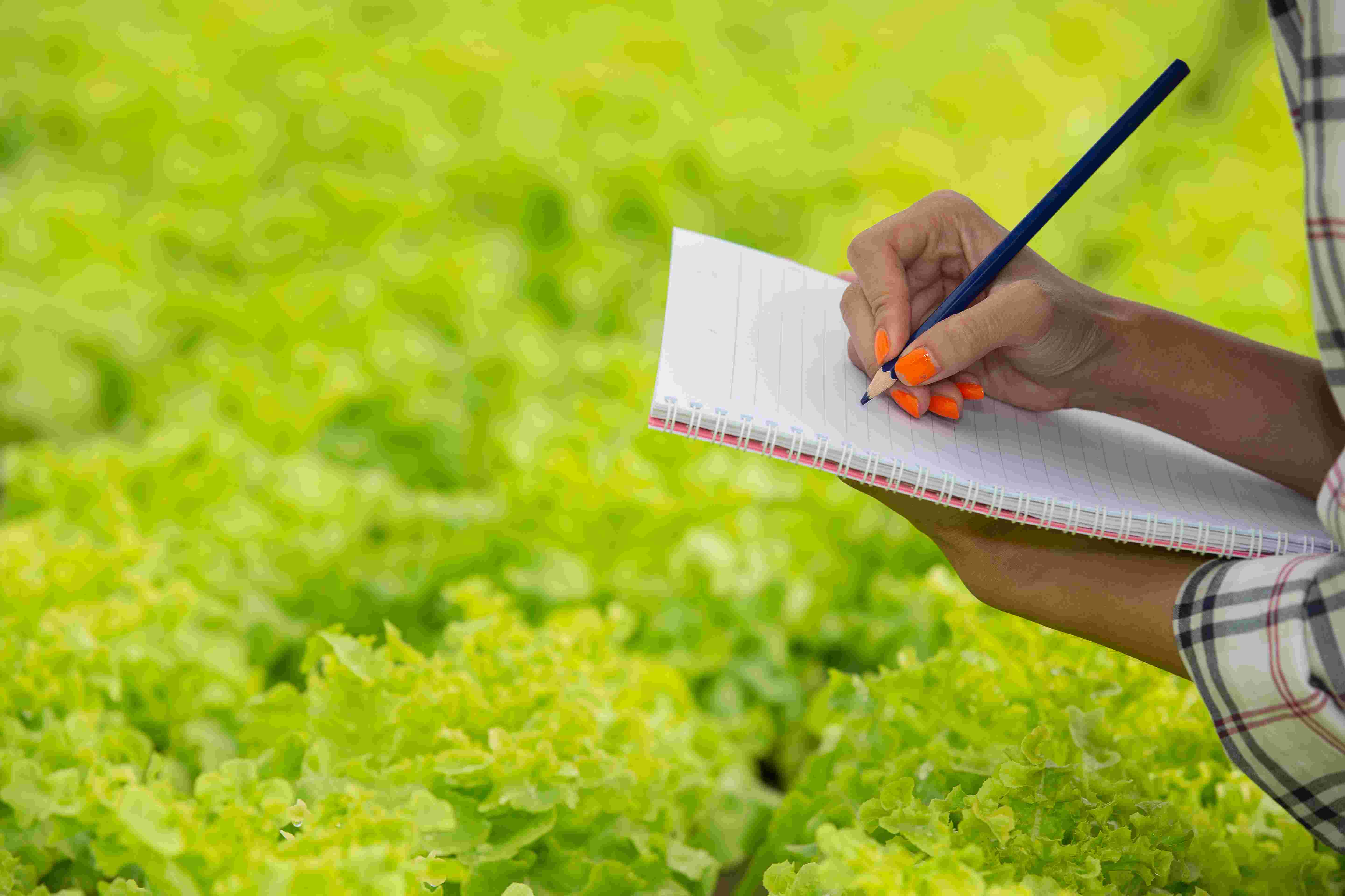 Agricultural Value Chain Analysis